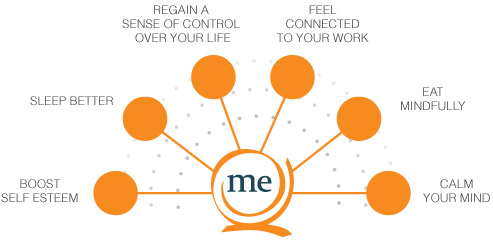 why_meq_banner