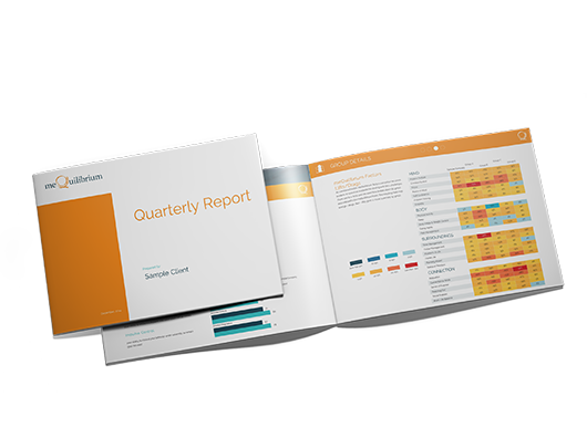 The meQuilibrium Corporate Report