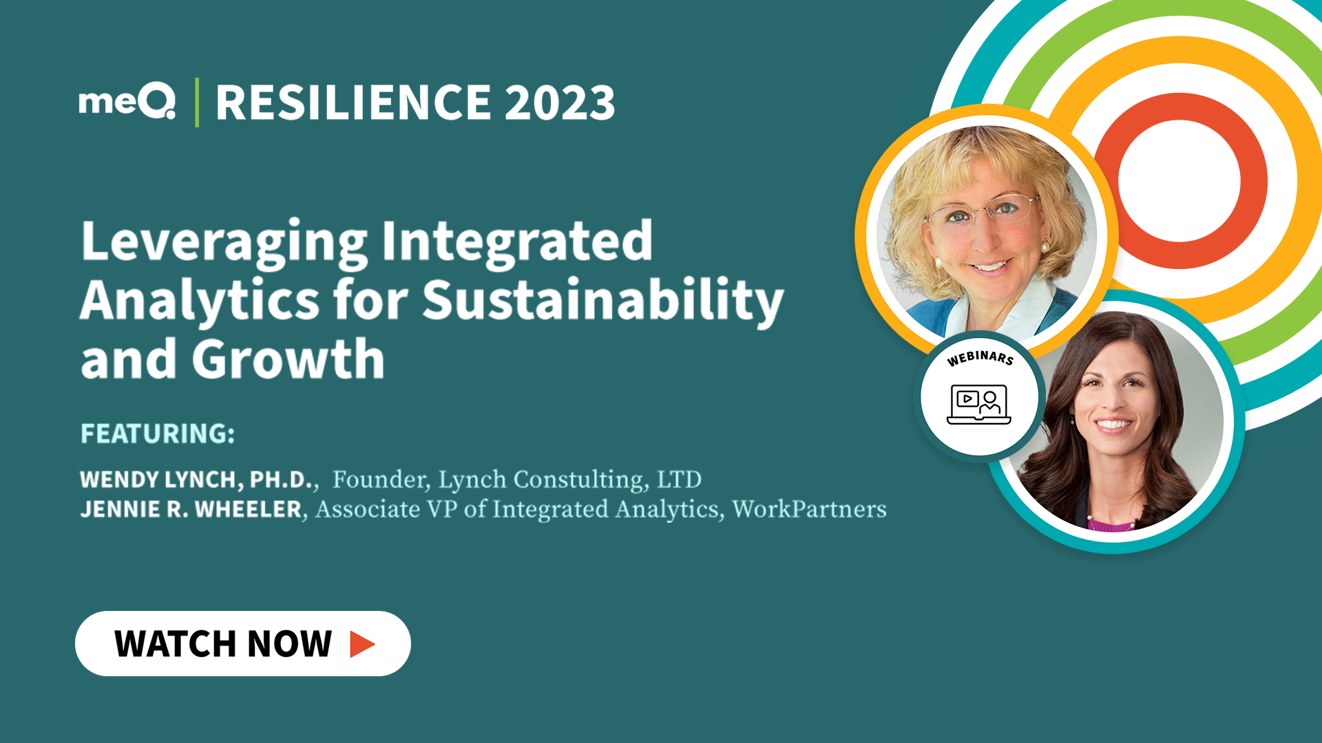 Leveraging Integrated Analytics for Sustainability and Growth